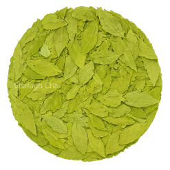 بادرنجبویه